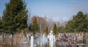 В Рыбинске началась обработке городских территорий от клещей