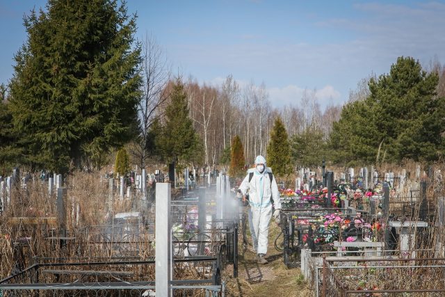 В Рыбинске началась обработке городских территорий от клещей