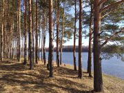 Рыбинцев приглашают на открытие велосезона