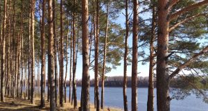 Рыбинцев приглашают на открытие велосезона