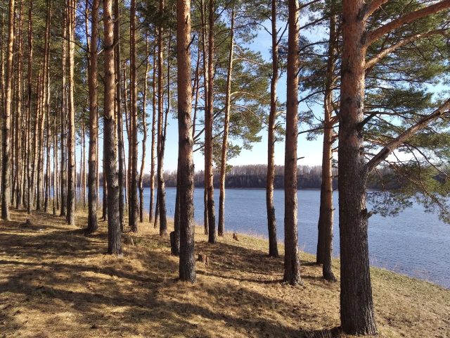 Рыбинцев приглашают на открытие велосезона