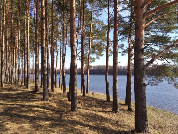 Рыбинцев приглашают на открытие велосезона