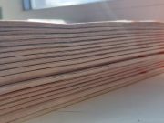 В Рыбинске в разных микрорайонах города состоится экологическая акция «Раз!Дельный двор!»