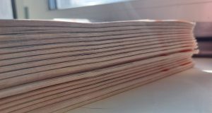 В Рыбинске в разных микрорайонах города состоится экологическая акция «Раз!Дельный двор!»