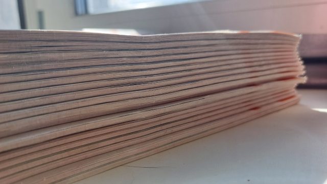 В Рыбинске в разных микрорайонах города состоится экологическая акция «Раз!Дельный двор!»