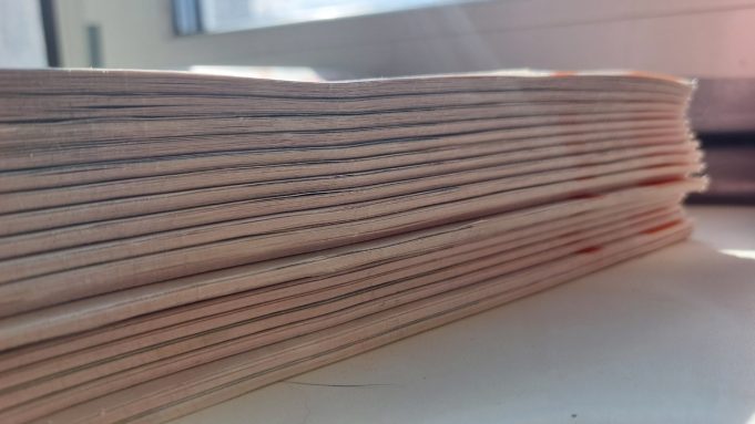 В Рыбинске в разных микрорайонах города состоится экологическая акция «Раз!Дельный двор!»