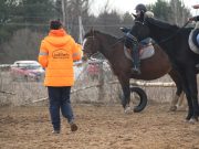 Лошади в помощь поисковикам