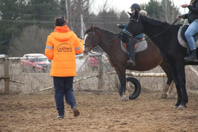 Лошади в помощь поисковикам