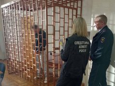 Водителя, сбившего двух мальчиков в Рыбинске, отправили за решетку