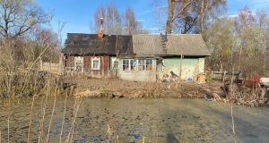 В Ярославской области в пруду нашли тело годовалого малыша