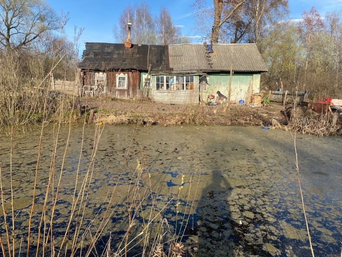 В Ярославской области в пруду нашли тело годовалого малыша