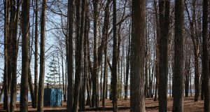 В Рыбинске совсем скоро начнут благоустраивать Волжский парк