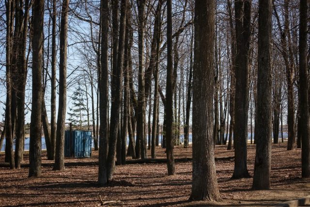 В Рыбинске совсем скоро начнут благоустраивать Волжский парк