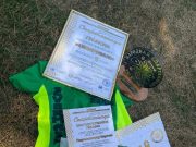 Рыбинцев приглашают принять участие в «веселых стартах»