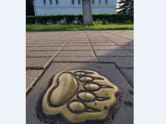 Проект «Медвежья тропа» в Ярославле будет дополнен мобильным приложением