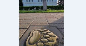 Проект «Медвежья тропа» в Ярославле будет дополнен мобильным приложением