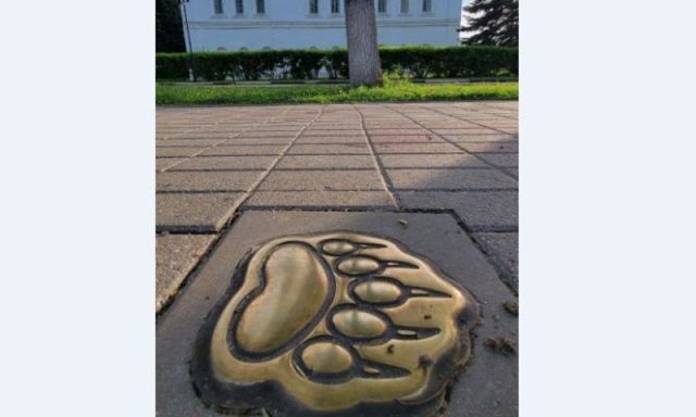 Проект «Медвежья тропа» в Ярославле будет дополнен мобильным приложением