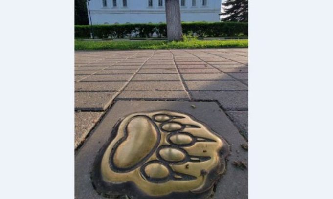 Проект «Медвежья тропа» в Ярославле будет дополнен мобильным приложением