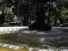 В Рыбинске теперь официально нельзя купаться в фонтанах, портить деревья и бросать неисправные машины во дворах