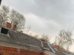 В Рыбинске планируют создать фонд для восстановления Мариинской гимназии