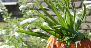 Ждать ли рыбинцам погодных сюрпризов в праздничные дни?