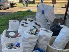 В Рыбинске подвели итоги прошедшей экосубботы