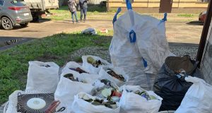 В Рыбинске подвели итоги прошедшей экосубботы