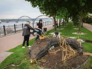 На Лоцманском бульваре в Рыбинске начали оформлять объемную цветочную композицию