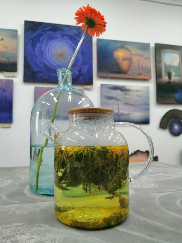 В Рыбинске Андрей Манчев презентует свой путеводитель по Индии