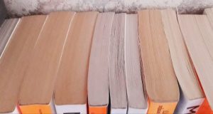 Книги с доставкой на дом: библиотеки Рыбинска готовы предоставить новую услугу маломобильным гражданам