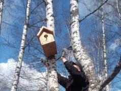 Рыбинцев приглашают на мастер-класс