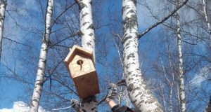 Рыбинцев приглашают на мастер-класс