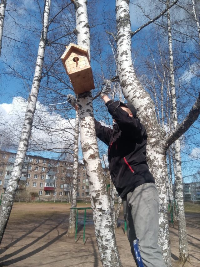 Рыбинцев приглашают на мастер-класс