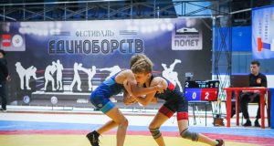 В Рыбинске впервые прошел фестиваль единоборств