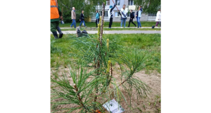 В Ярославской области завершилась акция «Сад памяти»