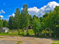 Рыбинцев приглашают на библиопрогулку в Кустовский парк