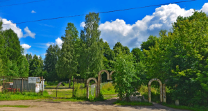 Рыбинцев приглашают на библиопрогулку в Кустовский парк