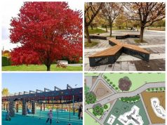 В спальном районе Рыбинска появится новый парк