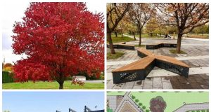 В спальном районе Рыбинска появится новый парк