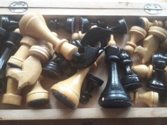 В школах Ярославской области появятся уроки шахмат