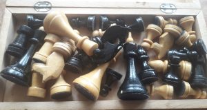 В школах Ярославской области появятся уроки шахмат