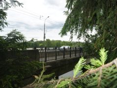 В Рыбинске запустят проект, объединяющий детей и молодежь с ограниченными возможностями здоровья