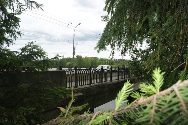 В Рыбинске запустят проект, объединяющий детей и молодежь с ограниченными возможностями здоровья