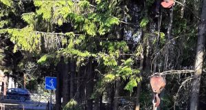 На Бульварной улице завершаются работы по перекладке теплосети