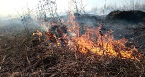 В Рыбинском районе за неделю произошло шесть пожаров