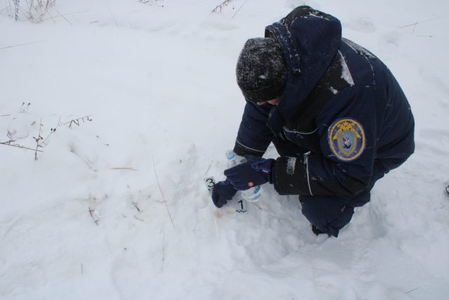 Участники кровавой охоты на лосей под Тутаевым предстанут перед судом