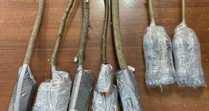 Житель Ярославля пытался передать крупную посылку в исправительную колонию №2