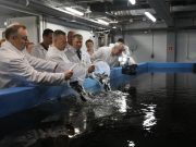 Первый комплекс по выращиванию клариевого сома и форели начал работу в Рыбинском районе