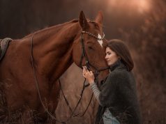 Лошади помогут семьям справиться с трудностями