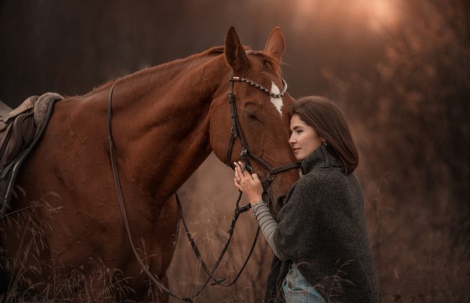 Лошади помогут семьям справиться с трудностями
